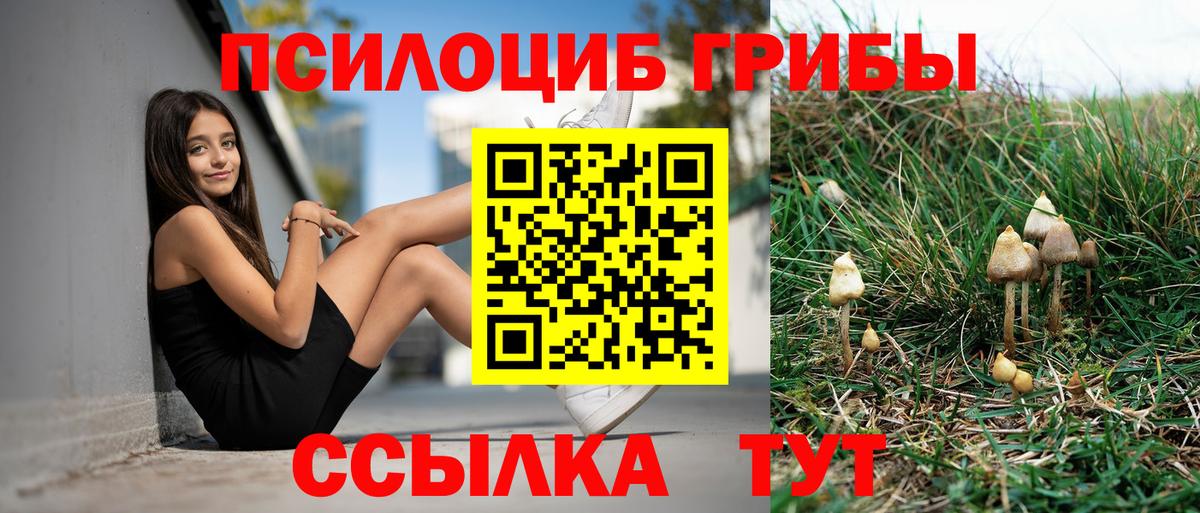 Галлюциногенные грибы Cubensis  Галлюциногенные грибы Cubensis  Благодарный  Вход с VPN 